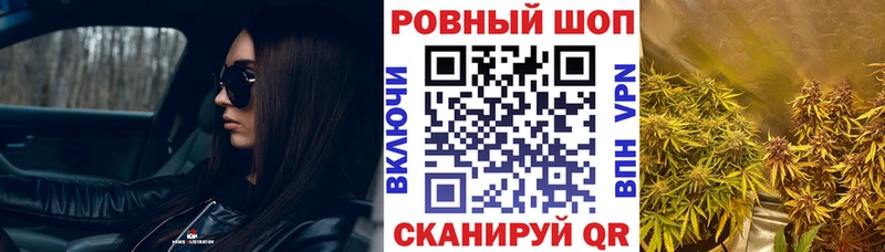 МЕФ Братск