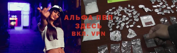 гашик Абаза