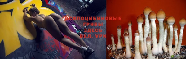гашик Абаза