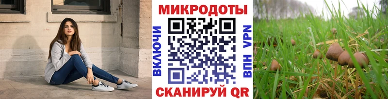 как найти   Братск  OMG как войти  Галлюциногенные грибы ЛСД 